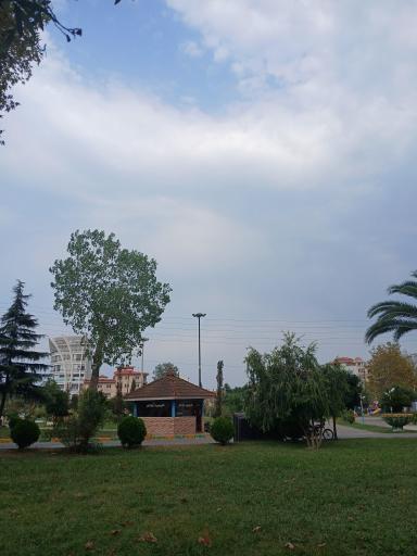 عکس بوستان فجر (نیلوفر آبی)