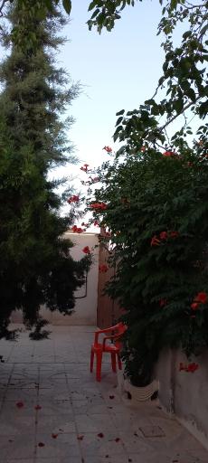 عکس باغ سالن رویال