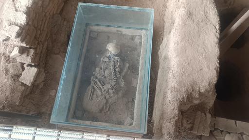 عکس سایت موزه شادیاخ