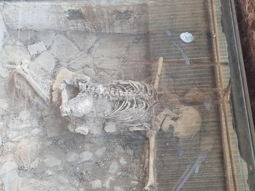 عکس سایت موزه شادیاخ