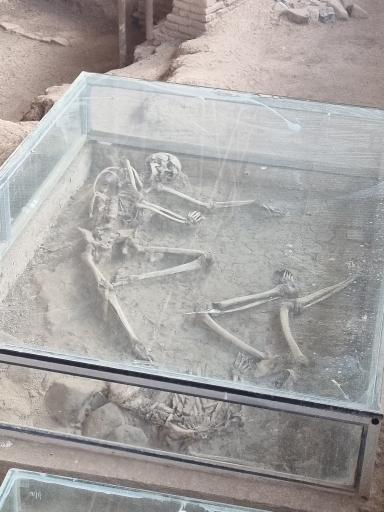 عکس سایت موزه شادیاخ