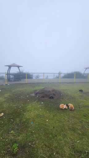 عکس دهکده گردشگری حیران