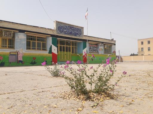 عکس دبستان پوشینه بافت