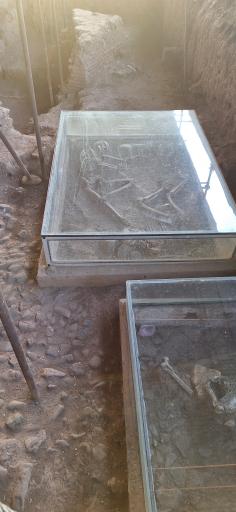 سایت موزه شادیاخ