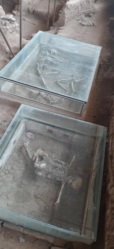 سایت موزه شادیاخ