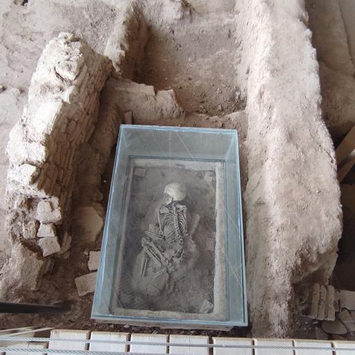 عکس سایت موزه شادیاخ