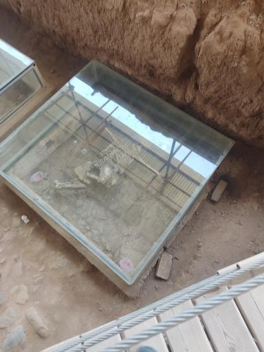 عکس سایت موزه شادیاخ