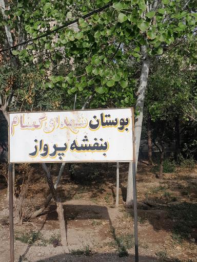 عکس بوستان شهدای گمنام بنفشه پرواز 