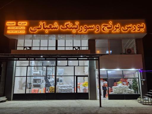 عکس سورتینگ برنج ذبیح الله شعبانی