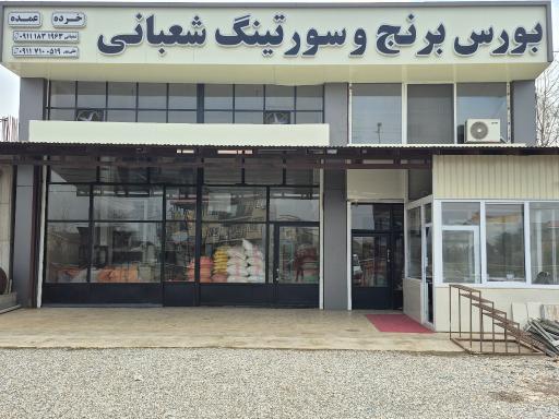 عکس سورتینگ برنج ذبیح الله شعبانی
