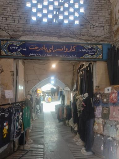 عکس سرای پا درخت