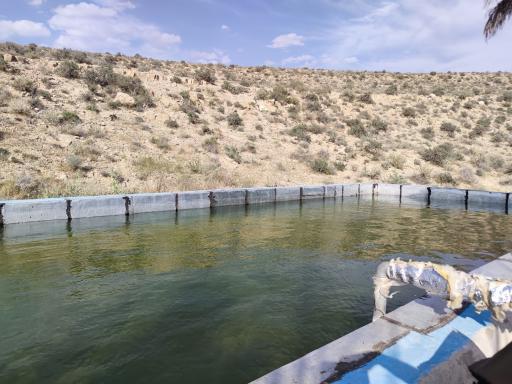 عکس تولیدی گلاب و عرقیات گیاهی بام میمند 