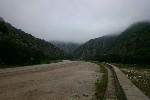 عکس پارک جنگلی گلستان