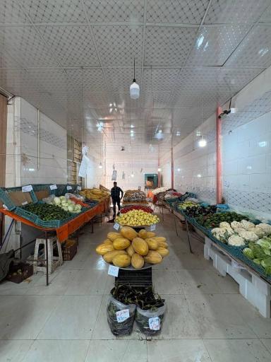 عکس میوه سرای کشاورز