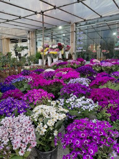 عکس گل فروشی پارسا