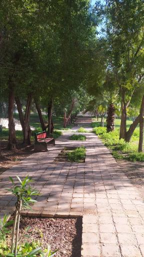 عکس کتابخانه دانشکده هنر شوشتر