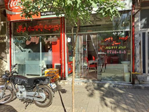 عکس کباب زغالی دیدار 