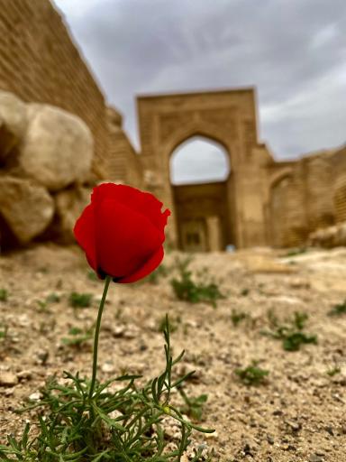 عکس رباط و کاروانسرای شرف