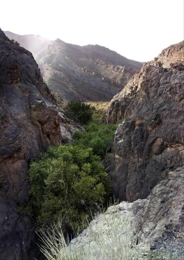 عکس اردستان