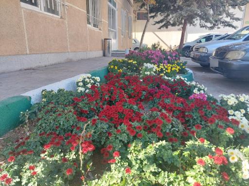 عکس اداره منابع طبیعی و آبخیزداری شهرستان مراغه