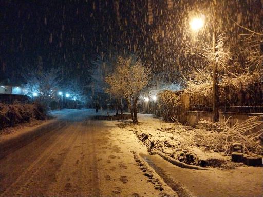 عکس اقامتگاه بومگردی و گردشگری بانوی گیلان