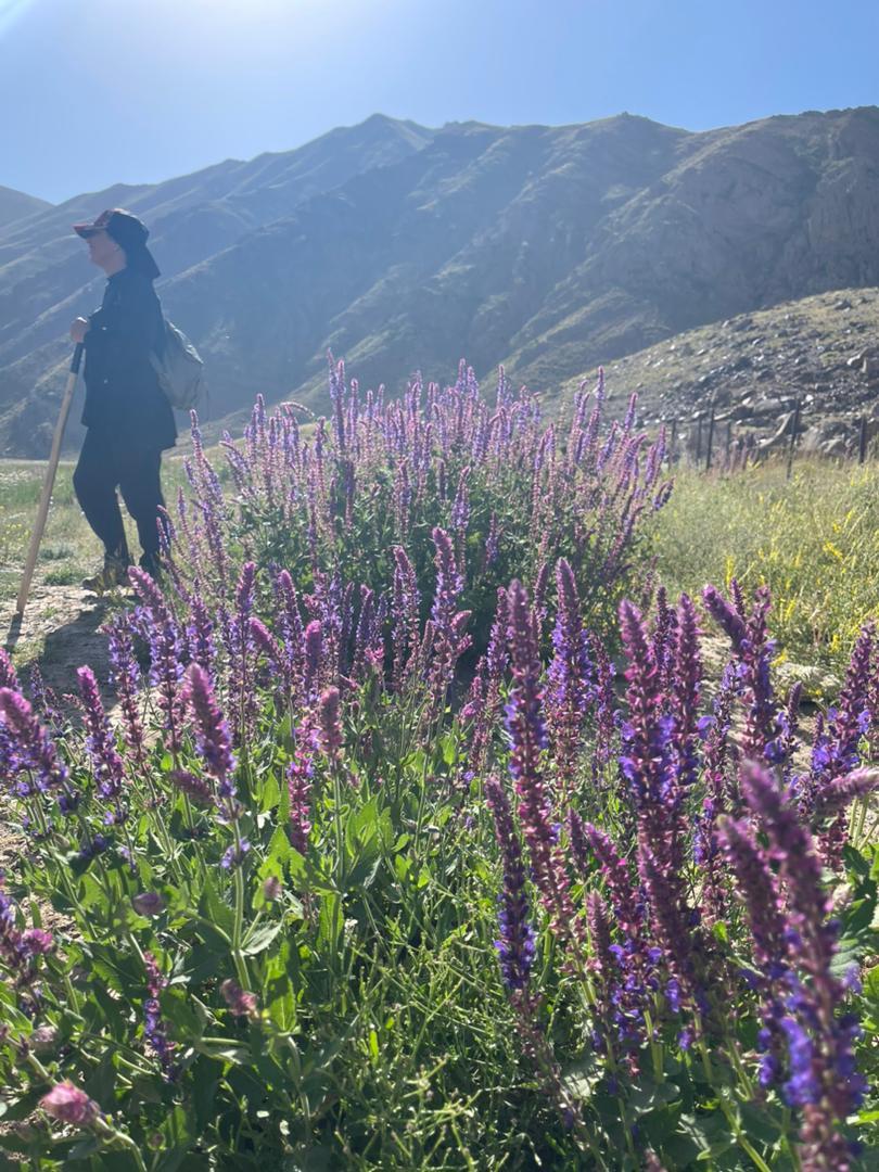 عکس آبشار دوم دشت هویج افجه