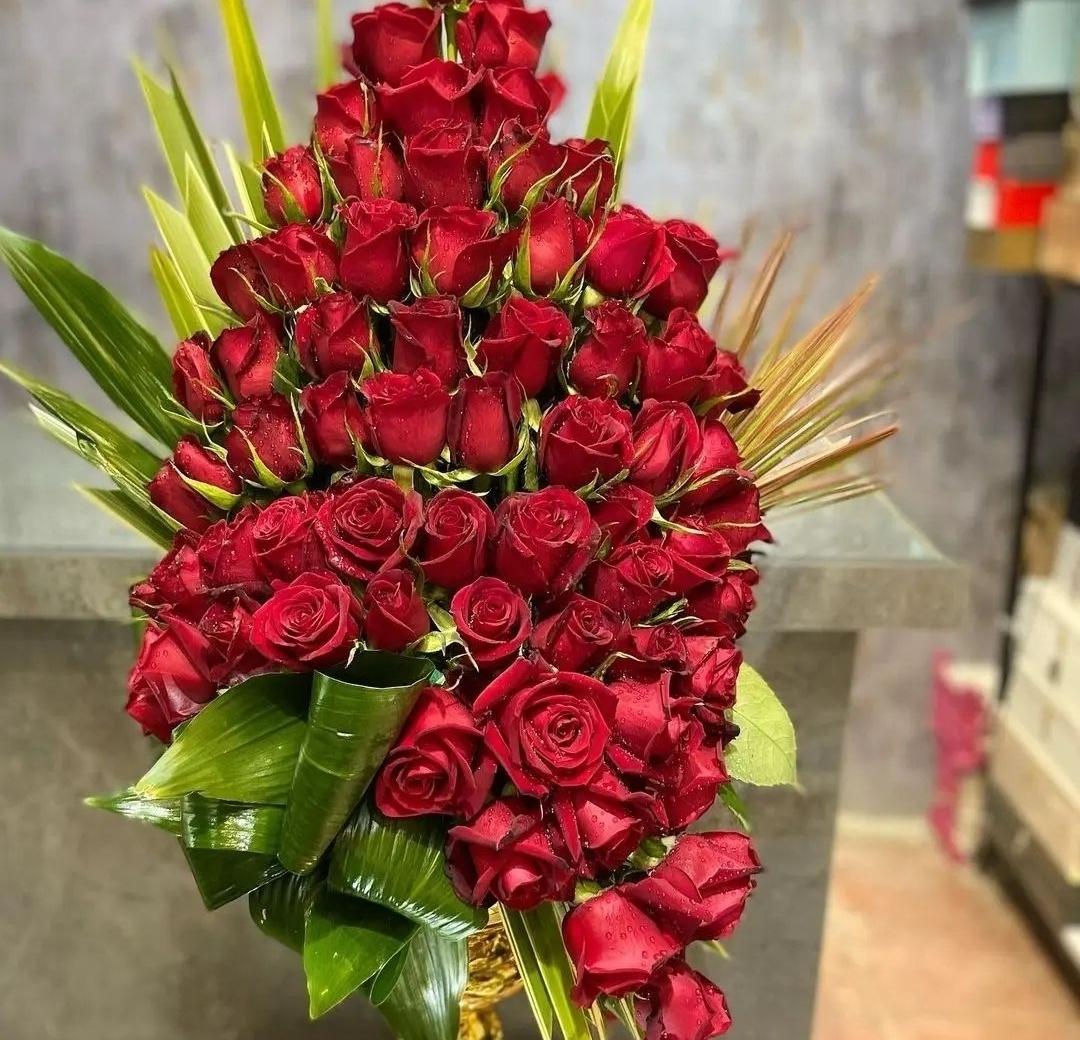 عکس گلسرای سفیر سبز