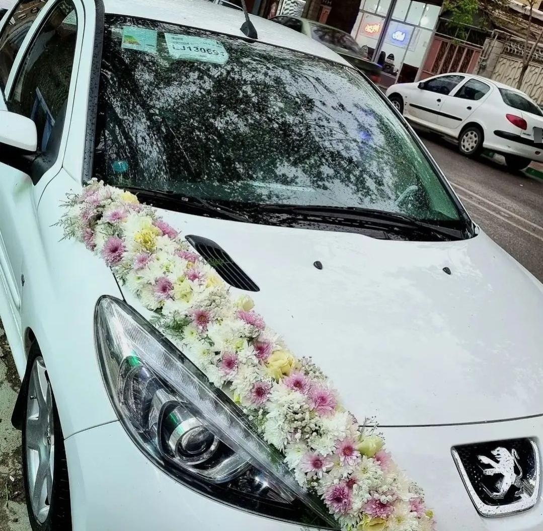 عکس گلسرای سفیر سبز