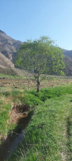 عکس آبشار دوم دشت هویج افجه