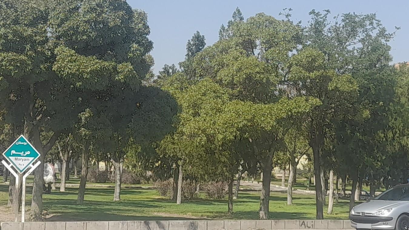 عکس پارک مریم