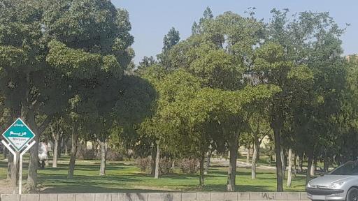 عکس پارک مریم