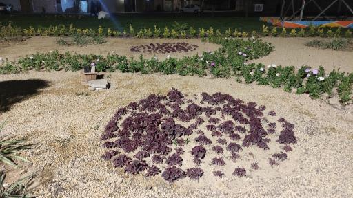 عکس پارک بزرگ شهدای بعثت