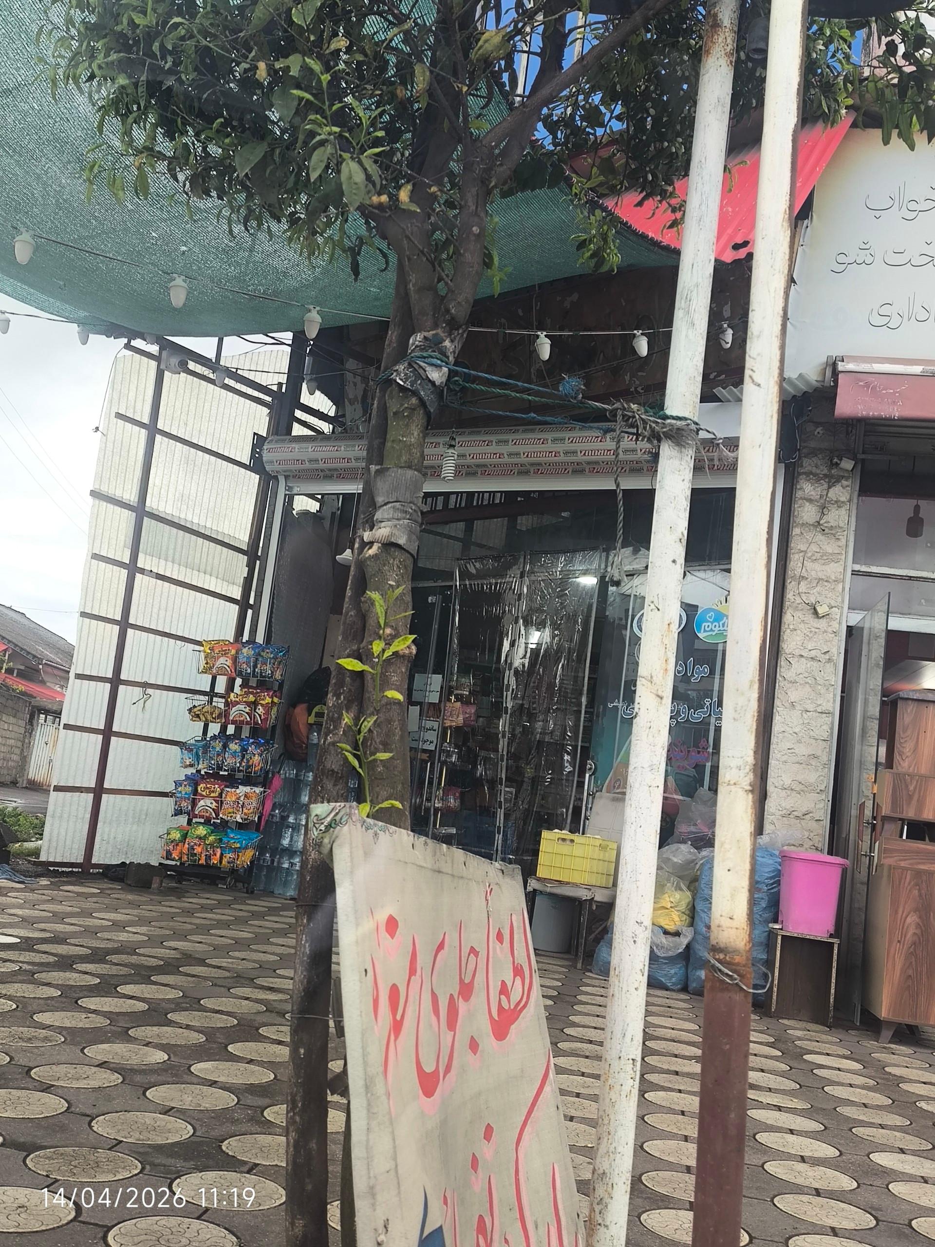 عکس سوپرمارکت بانو