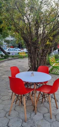 عکس جگرکی بابا علی