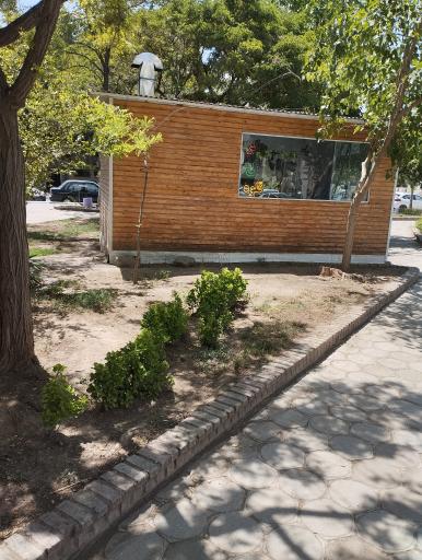 عکس جگرکی بابا علی