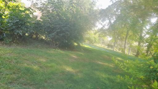 عکس بوستان استقلال میهن