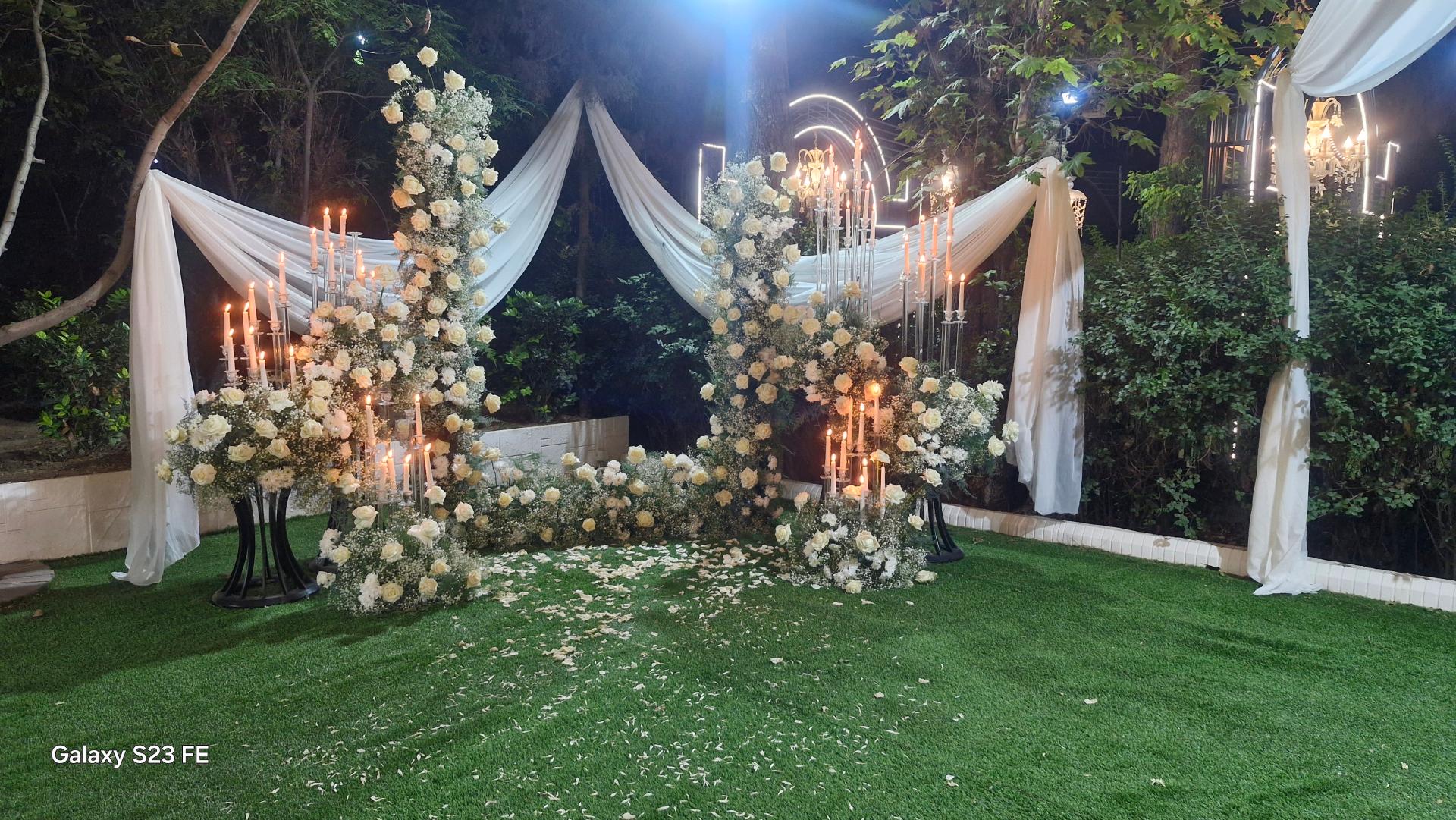 عکس باغ تالار دامون