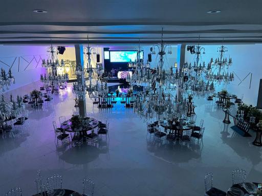 عکس باغ تالار دامون