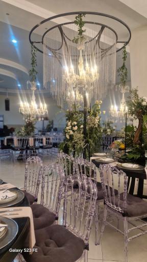 عکس باغ تالار دامون