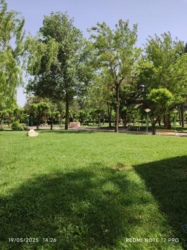 عکس پارک نیلوفر