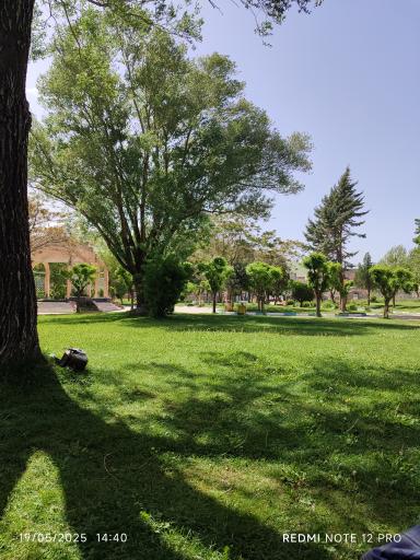 عکس پارک نیلوفر