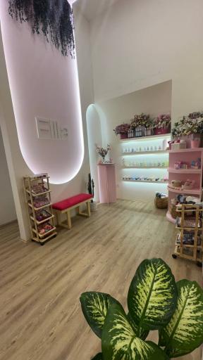 عکس فروشگاه محصولات پوست و مو گیاهی اِلا