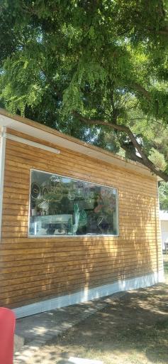 عکس جگرکی بابا علی