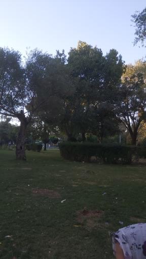 عکس پارک نیلوفر