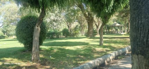 عکس پارک نیلوفر