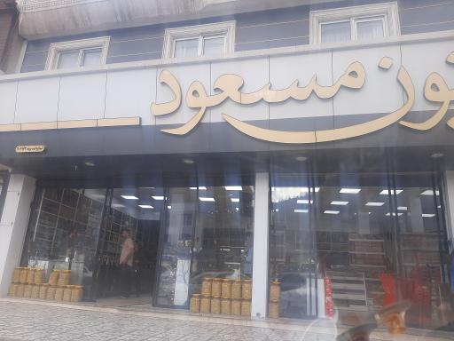 عکس زیتون مسعود رودبار