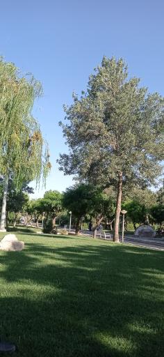 عکس پارک نیلوفر