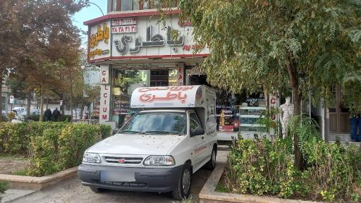 عکس باتری جوادپور