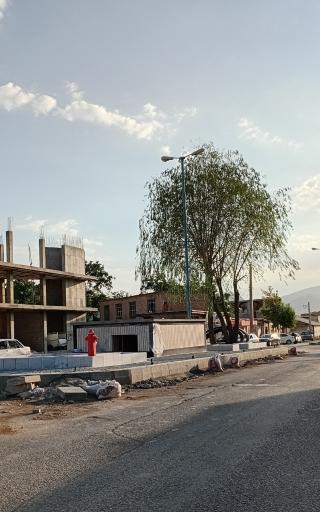 عکس سورشجان