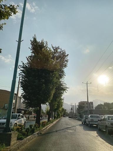 عکس سورشجان